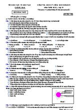 Đề kiểm tra học kỳ I môn Sinh học Lớp 10 - Mã đề 420 - Năm học 2018-2019 - Sở giáo dục và đào tạo tỉnh Quảng Nam